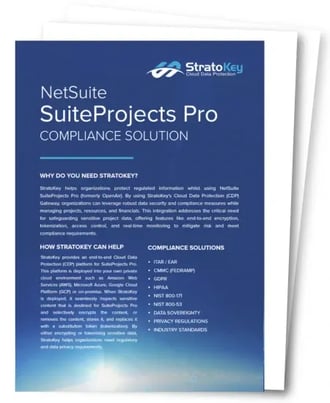 stratokey-NetSuite-SuiteProjects-Pro-brochure(1)
