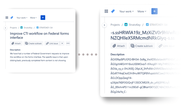 Secure Technical Data With End-to-End Field-Level Encryption for Jira
