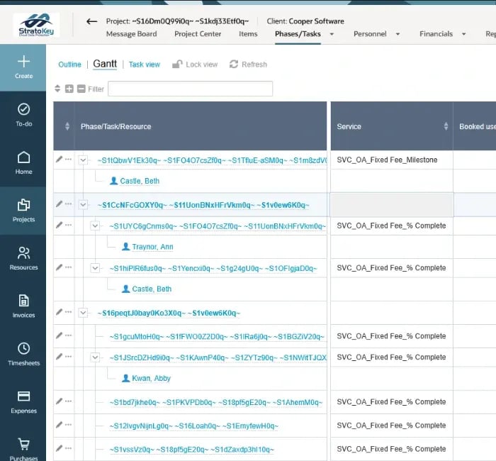 netsuite-suiteprojects-pro-gantt-encrypted-zm(1)
