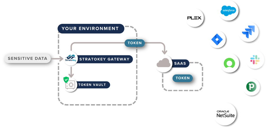Tokenization Graphics(13)