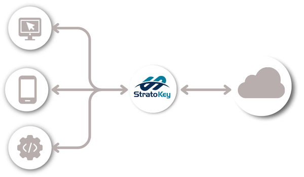Tokenization-Access-Control