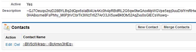 Salesforce searchable encryption
